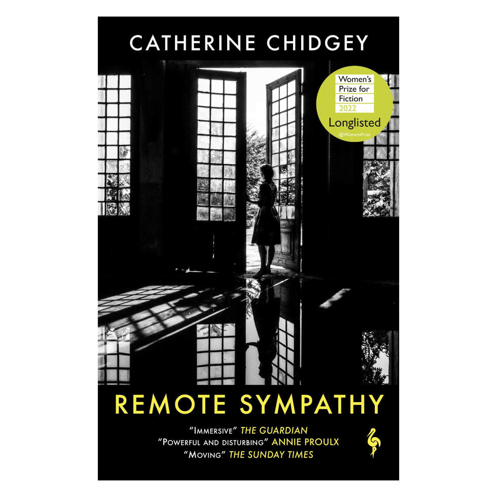 Remote Sympathy book cover