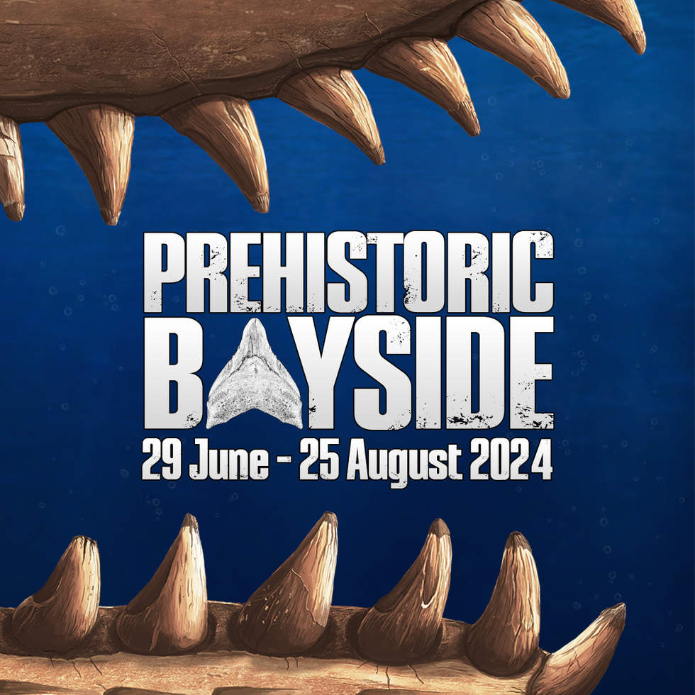 Jaws of a prehistoric whale with text that says Prehistoric Bayside with exhibition dates 29 June - 25 August