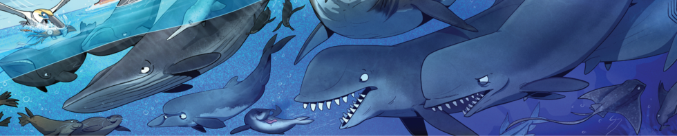 Cartoon illustrations of prehistoric sharks and whales