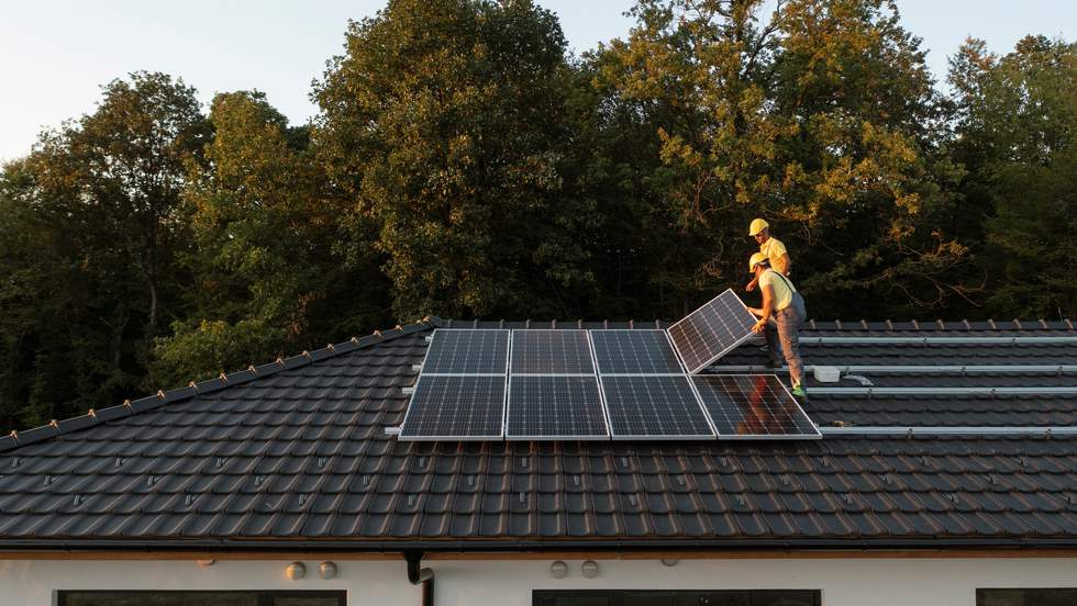 Two tradespeople on a dark roof, laying solar panels. In the background is a blue sky and eucalyptus trees.