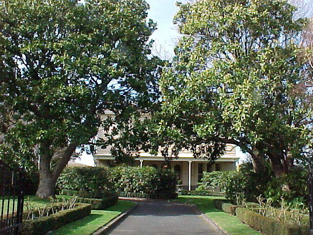 Tree lined driveway leading up to stately home