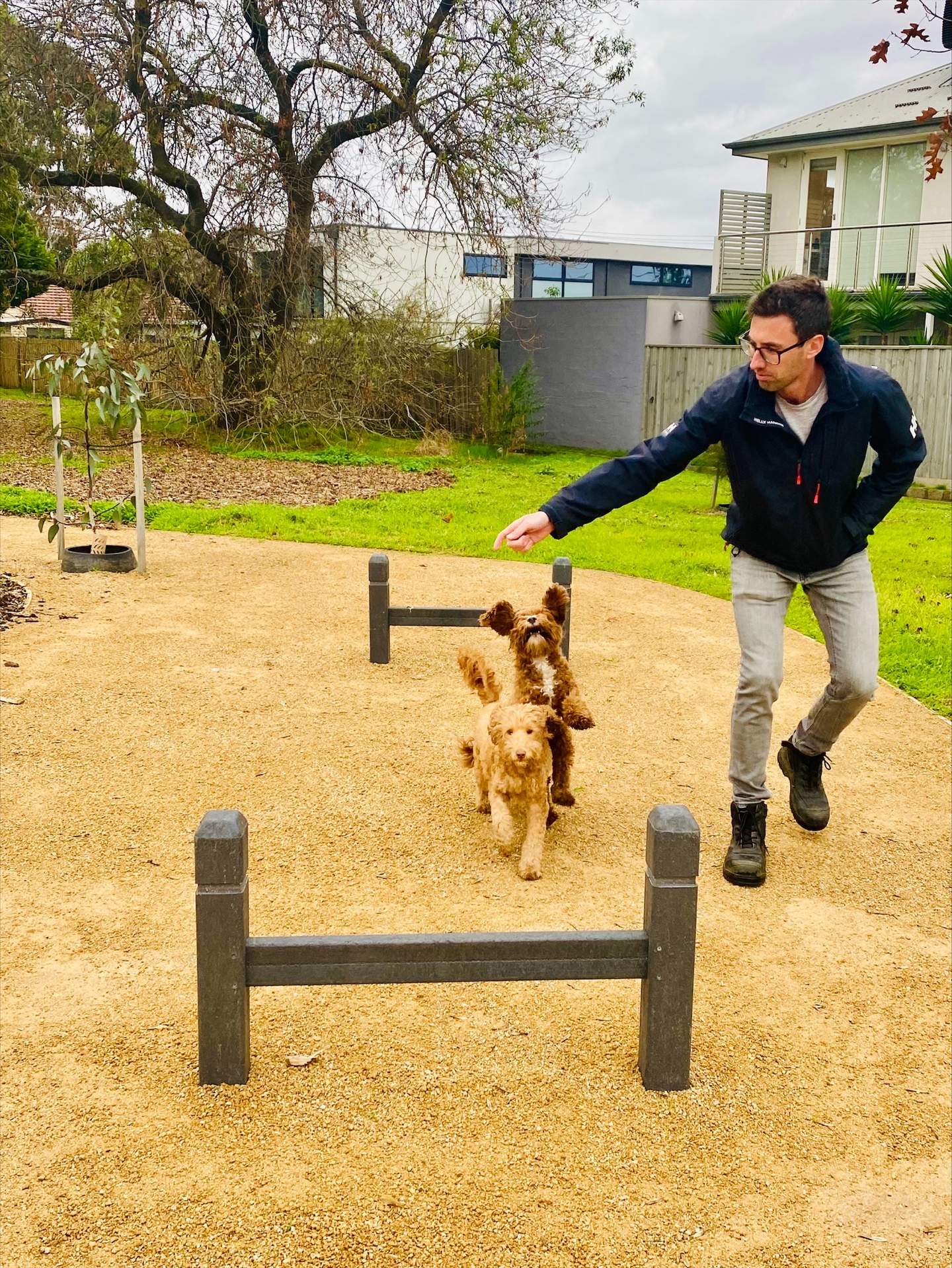 Image of two dogs and owner at Wishart Reserve Dog Park. Two dogs are running between two jumps. Trees, plants and grass are in the background.