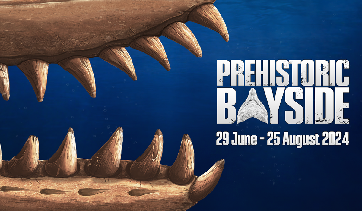 Jaws of a prehistoric whale on a blue background with text that reads Prehistoric Bayside 29 June - 25 August