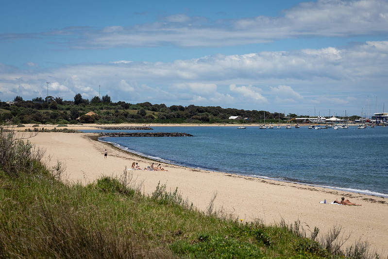 Foreshore with grass and people relaxing on the beach with a jetty in the background