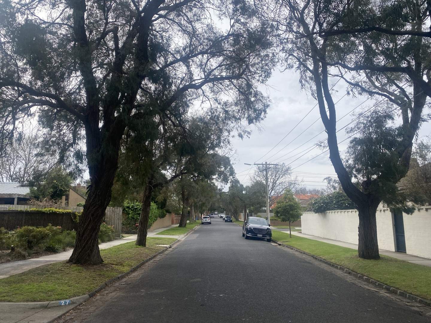 Road, footpath and street trees on Rose Street, Sandringham.