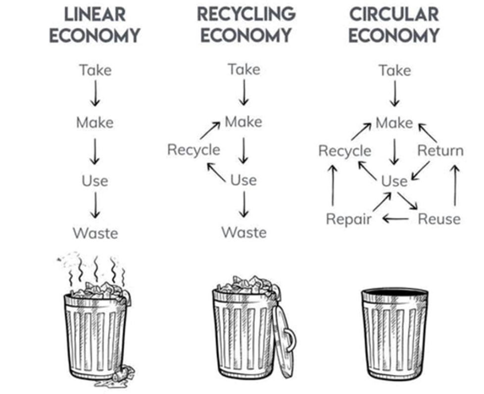 A flow chart explaining the linear, recycling and circular economy. 