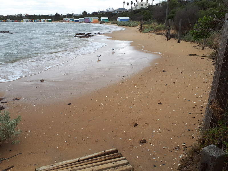 Tide in at southern end of Dendy Street Beach