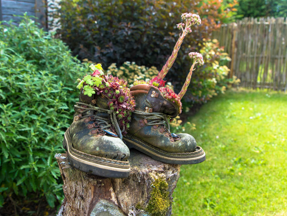 pair of old work boots transformed into flower planters