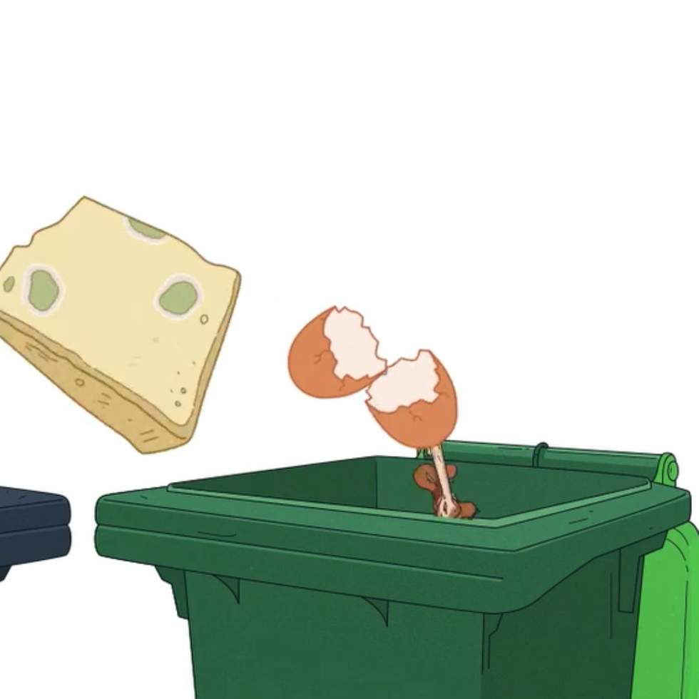 Illustration of two Bayside bins with food falling the green lid bin.