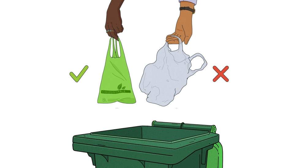 illustration of hands putting bags into the bin.
